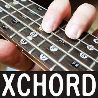 XCHORD Melody Scale 5 String Bass Guitar Sticker   XBG5