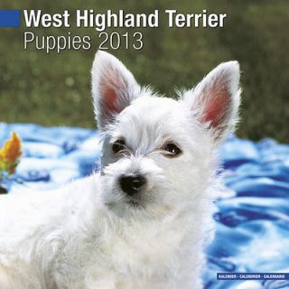 West Highland Terrier Puppies 2013 Calendar 10208 13