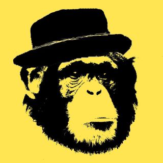 Hipster Chimp Chimpanzee indie pork pie hat monkey t shirt 