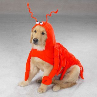   Lobster Paws Dog Halloween Costumes   XS to XXL great for parties