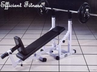 Multi Function BENCH PRESS Dip Exercises Solid High Quality Steel 
