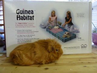 Midwest Guinea Pig Habitat Cage WITH TOP