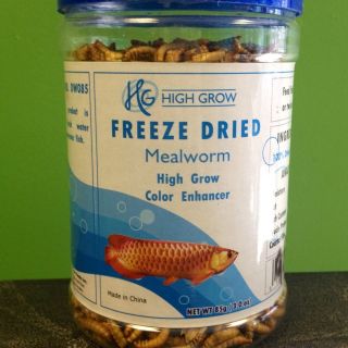 Freeze Dried Mealworms 85g Arowana, Jardini, Flowerhorn Fish Food!!!