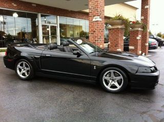 Ford : Mustang Cobra Whippl 04 COBRA CONVERTIBLE WHIPPLE SUPERCHARGED 