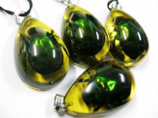  MENS REAL INSECT GREEN BEETLE AMBER MINI STYLE PENDANTS F/S JEWELRY