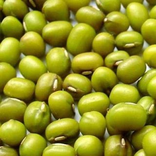 12 OZ MUNG BEANS. SPROUTING SEEDS. COOKING BEANS/ GROW SPROUTS 