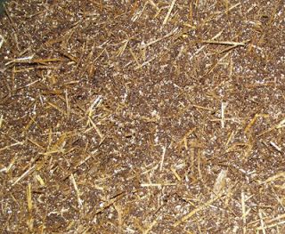Pound Grow Bag of 50/50 Straw and Compost Mushroom Substrate Mix By 