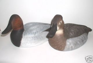 magnum duck decoys in Duck