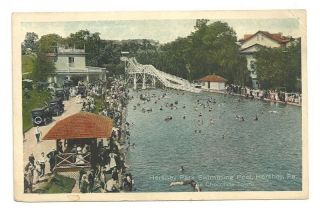 HERSHEY PA Park Swimming Pool Coaster Water Slide Vintage Postcard Old 