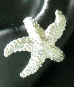 starfish earrings in Earrings