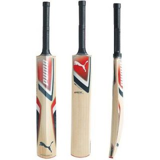 Puma Kinetic 6000 Kashmir Willow Cricket Bat Mens SH
