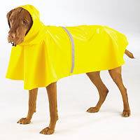Pet Supplies > Dog Supplies > Apparel > Rain Coats