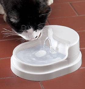   FILTERS ONLY Set of 6 for the Cat Water Drinking Fountain Pet Supplies