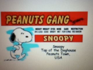   card of SNOOPY of Charlie Brown PEANUTS GANG novelty Drivers License