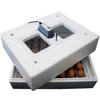 Germany Brand Kueken KITA® 50 Egg incubator for hatching eggs BRU01