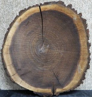 Black Walnut Live Edge Rustic Tree Log Slice/End/Coffee Table Top Slab 
