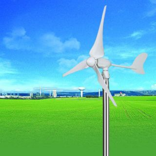    Fuel & Energy  Alternative Fuel & Energy  Wind Power