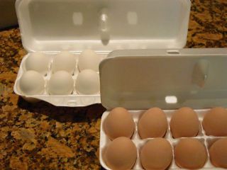 Ceramic Training Nest Eggs for Chicken Hatching Eggs