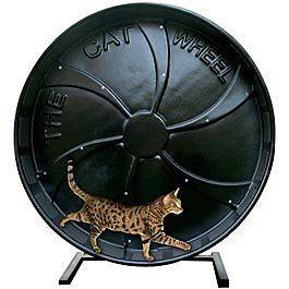The Cat Wheel Exercise Wheel Toy JEFFERS PET AATAA