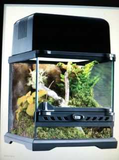 Exo Terra Nano Glass Terrarium Reptile Habitat   8 x 8 x 8 Inch 