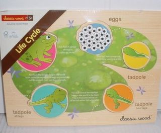 Classic Wood LIFE CYCLE frog tadpole building young minds wooden 