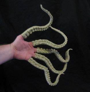 Scary Alien Tentacle Finger Octopus Halloween Costume Glove