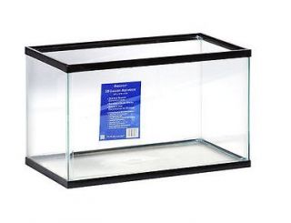 10 Gallon Fish Tank Glass Aquarium