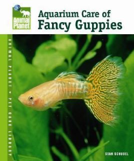 fancy guppy in Freshwater Species
