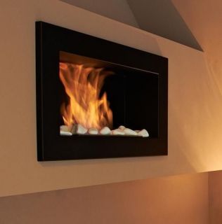 Standard Bio Fireplace Bioethanol Fireside Casa Fuego Gel Biocamino 