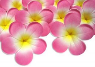 8X Pink Foam Floating Frangipani/Plumeria/Hawaiian Flower Heads Pool 