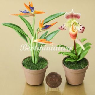   Sipper & Bird of Paradise miniature Clay Flower Plant Wedding Favors