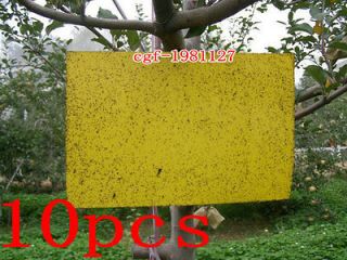   sided Sticky Flying Insects Thrips Gnats Aphid Fruitfly Trap Yellow