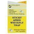 Yellow Sticky Aphid Whitefly Thrips , 3 Traps SHIPS FREE Lowest 