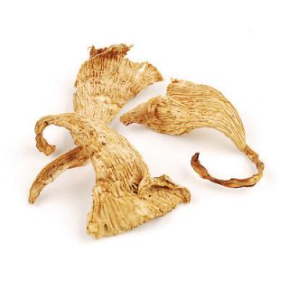 Dried Chantrelle Mushrooms   Multiple Sizes Available