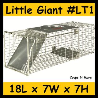   LITTLE GIANT LT1 LIVE ANIMAL TRAP★ SQUIRREL CHIPMUNK RAT HUMANE CAGE