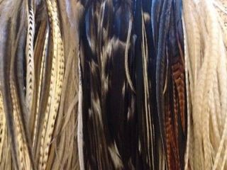 LONG Rooster Tail Grizzly Whiting Feathers Extensions SALON QUALITY 