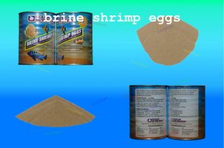 BRINE SHRIMP EGGS 100g BONUS MICRO WORM FREE POSTAGE