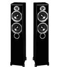   P253 Primus Two way dual 5 1/4 Floorstanding Speaker (Black) Speaker