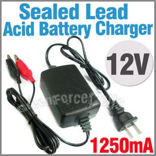 12 volt battery charger in Battery Chargers