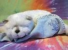 Vintage 1985 Applause AVANTI Baby Animals White Kitten w Blue Blanket 