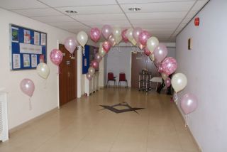 balloon arches in Holidays, Cards & Party Supply