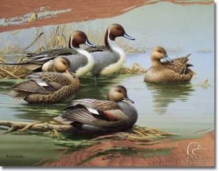 Ducks Unlimited Morning Most Lake Water Tin Sign Home Decor Wall 