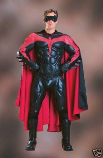batman robin costume in Clothing, Shoes & Accessories