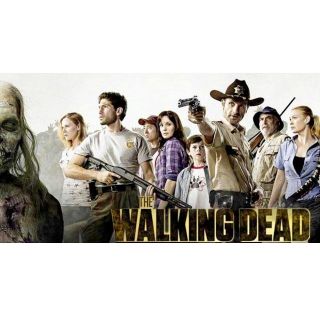 CUSTOM MADE COLLECTIBLE THE WALKING DEAD GROUP MAGNET (4¼x2¼)