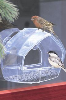 window bird feeder in Seed Feeders