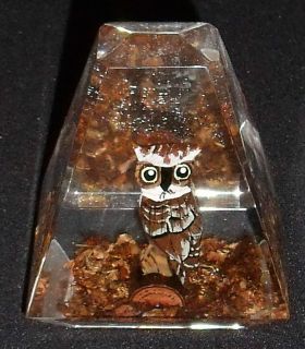 Hand Carved & Painted Wooden Owl in Lucite 3.5 Acrylic Paperweight 