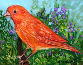 RED FACTOR CANARY GICLEE of painting Kasheta BIRD ART
