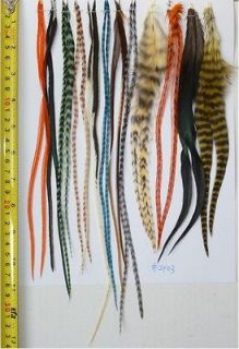 24 Long Whiting Feathers for Hair Extensions, Fly Tying, #2403, 9 