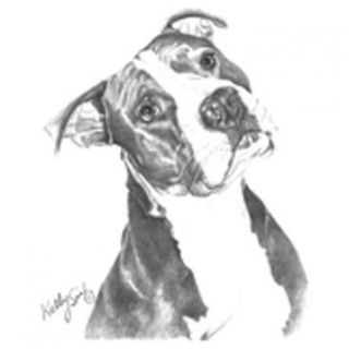 Pit Bull Pitbull Puppy Dog Black & White Kelly Six Artist Sketch White 