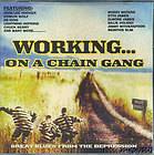   Chain Gang CD Vintage Blues 15 Songs Elmore James BB King Muddy NEW